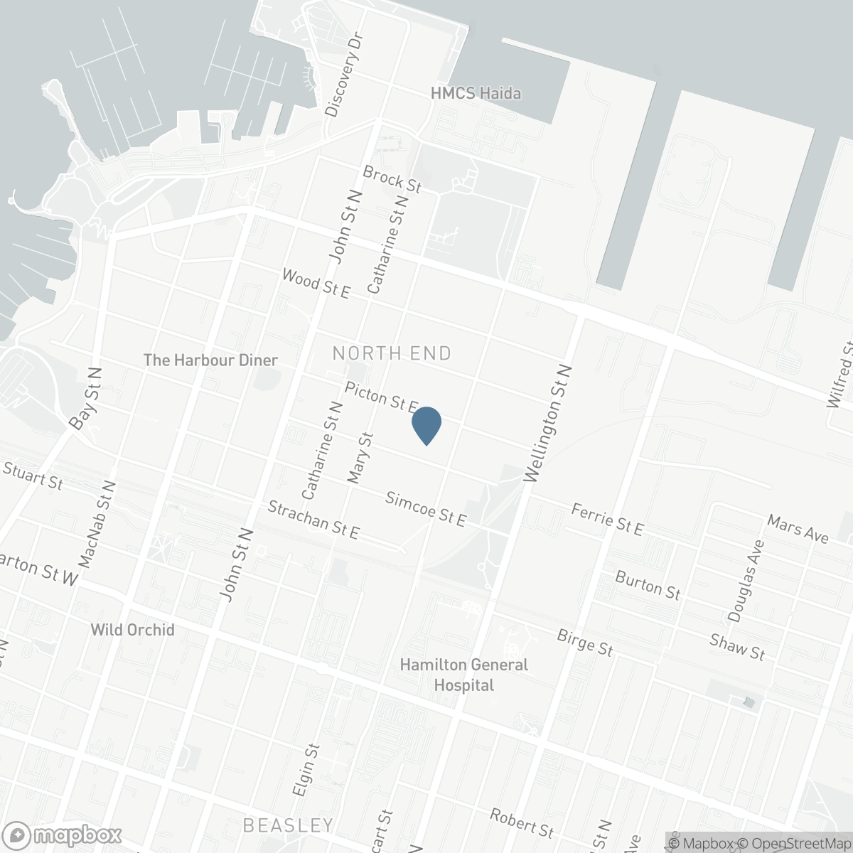 160 PICTON STREET E, Hamilton, Ontario L8L 3W6
